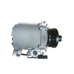 R02ACP04